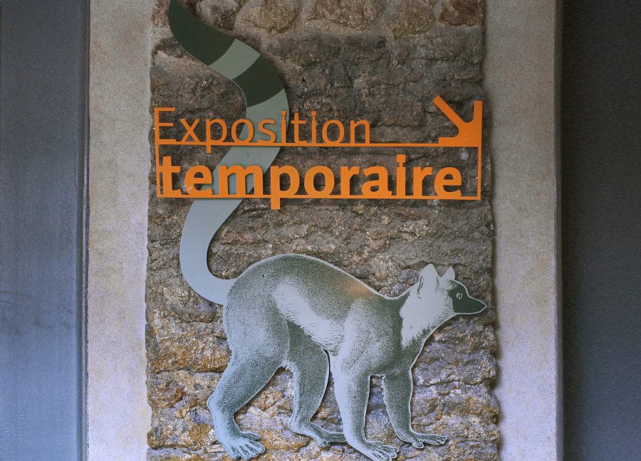 Hall de la Grande galerie - Signalétique - Bénédicte Roland